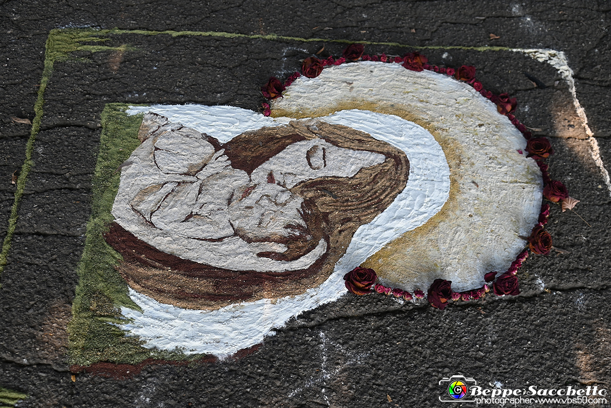 VBS_9944 - Infiorata Santuario della Madonnina di Villanova d'Asti 2024.jpg